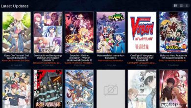 Anime Freak